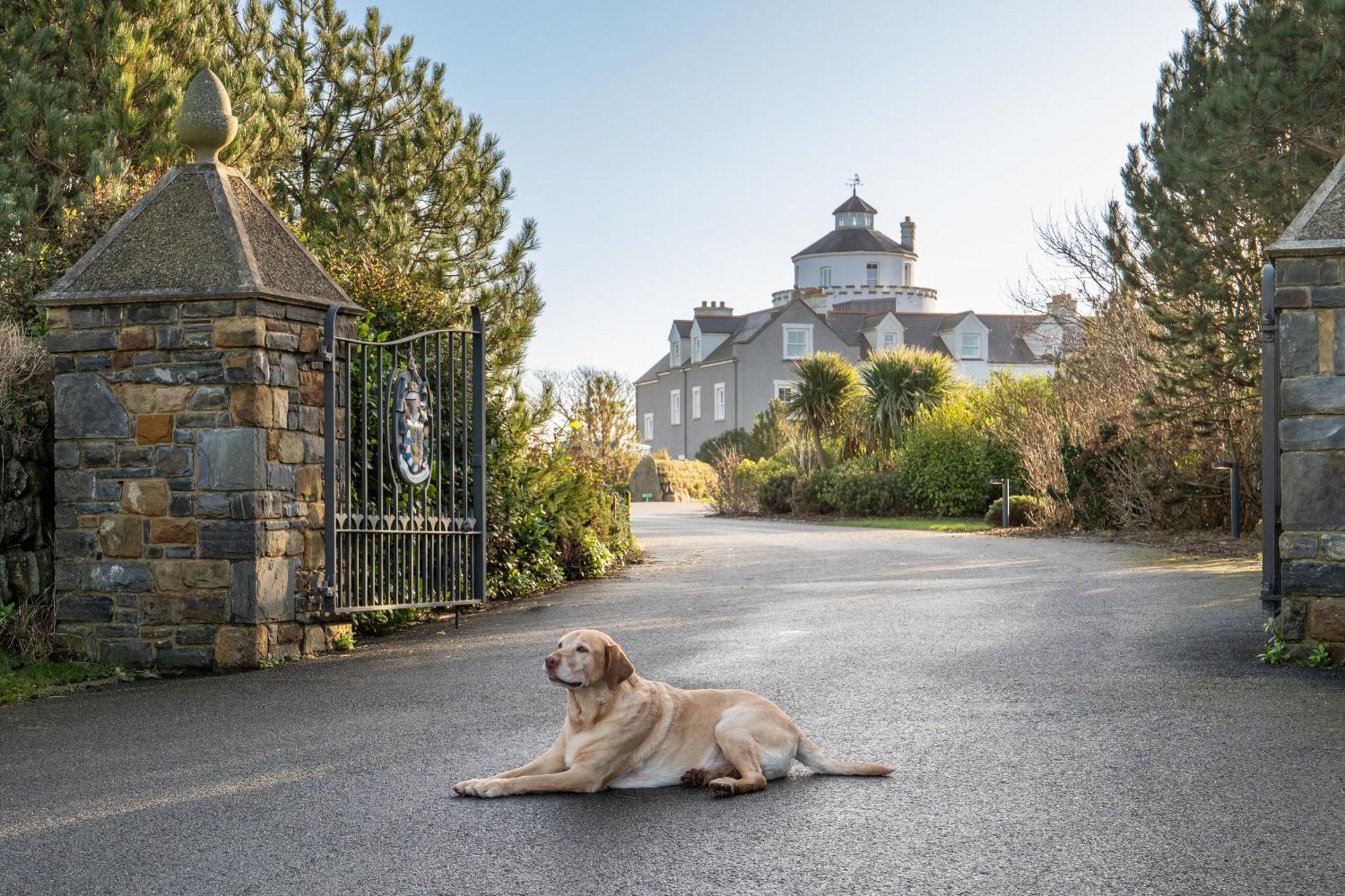 Twr Y Felin Hotel St. Davids  Exterior photo